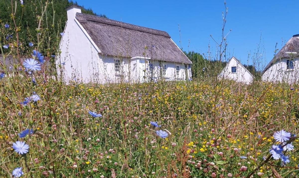 Corofin Corofin (Clare)